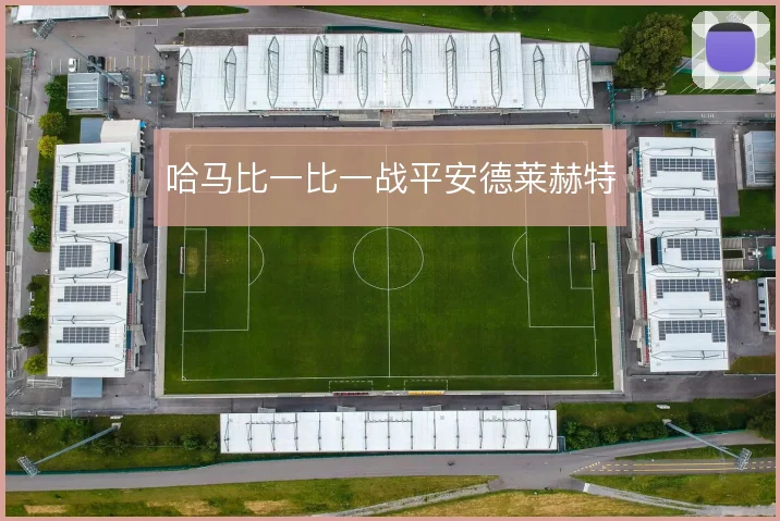 哈马比一比一战平安德莱赫特