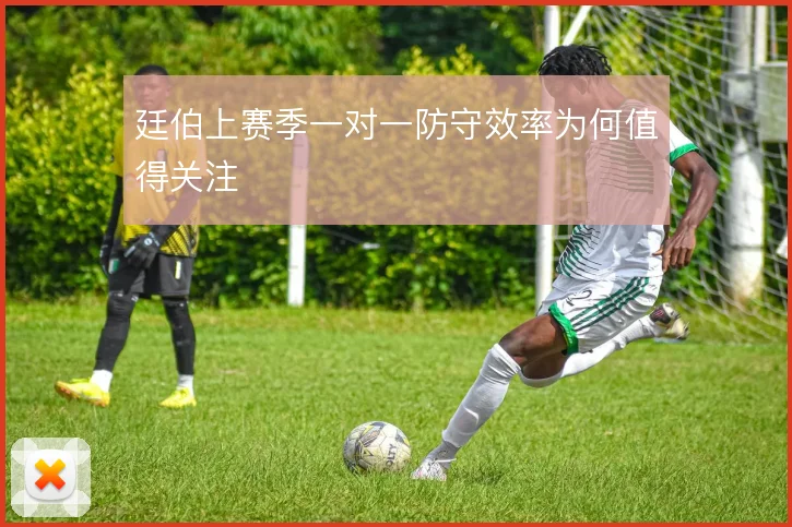 廷伯上赛季一对一防守效率为何值得关注