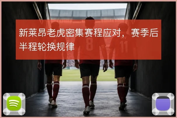 新莱昂老虎密集赛程应对，赛季后半程轮换规律